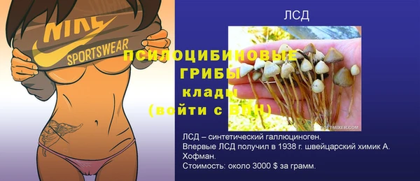эйфоретик Покачи