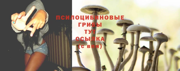 эйфоретик Покачи