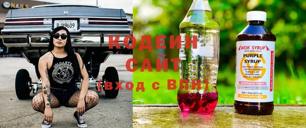 эйфоретик Покачи