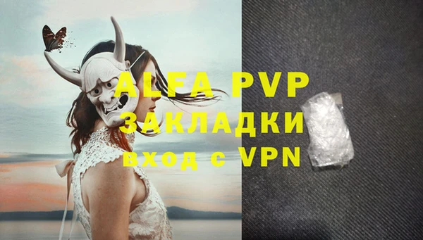эйфоретик Покачи